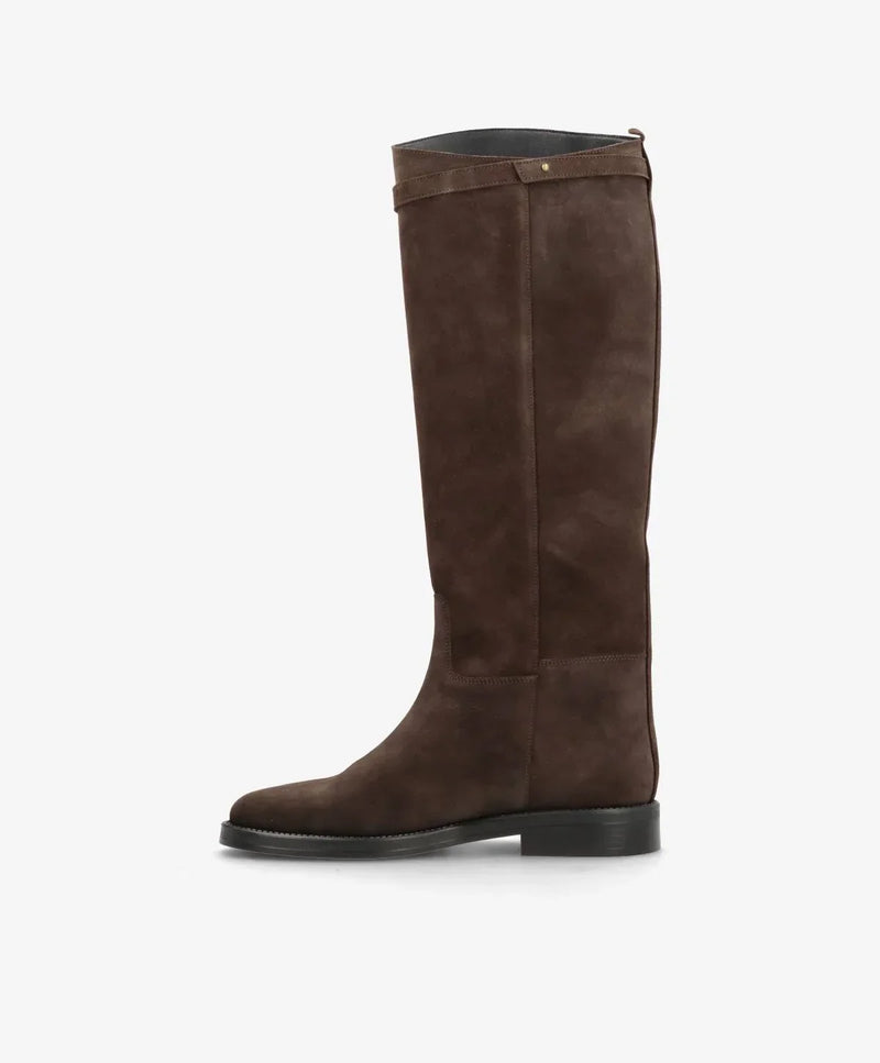 Phenumb Equestra Long - Limited Drop - Brown Suede