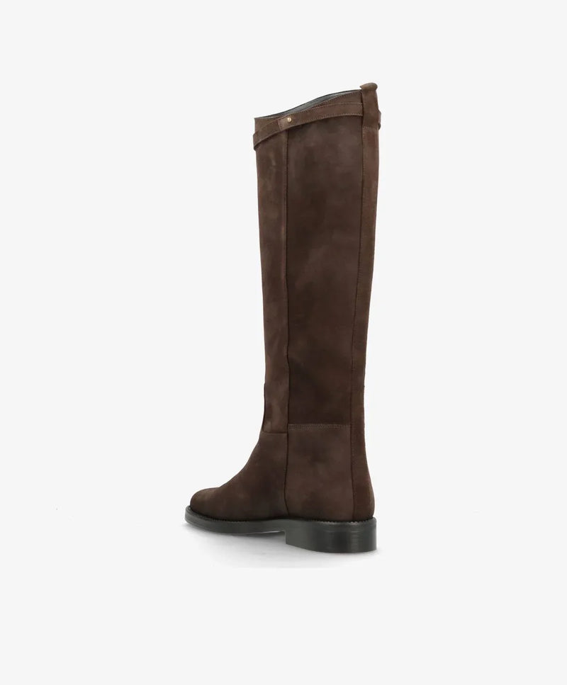 Phenumb Equestra Long - Limited Drop - Brown Suede