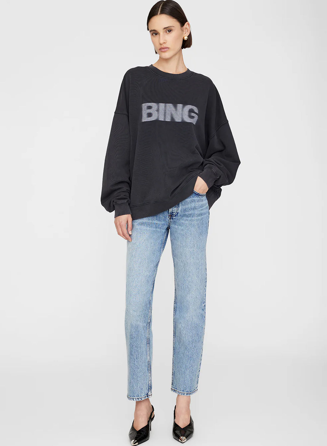 Anine Bing Miles Sweatshirt Blur Vintage Black